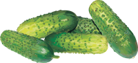 Cucumbers PNG