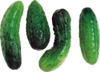 Four cucumber PNG