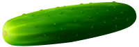 Cucumber long and big PNG