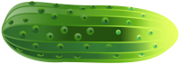 Freach cucumber PNG picture