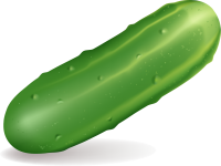 Cucumber picture PNG image