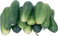 Many cucumbers PNG picture