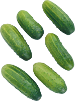 Cucumbers picture PNG