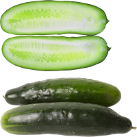 Sliced salted cucumber PNG
