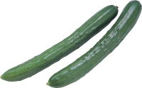 Cucumber long PNG