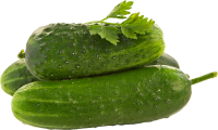 Cucumbers  PNG image with trnsparent background
