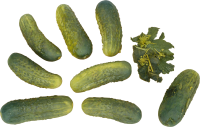 Many cucumbers PNG