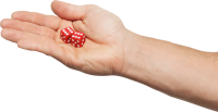 Dice in hand PNG