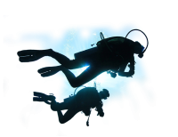 Diver PNG