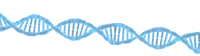 ДНК PNG