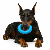 Dobermann dog PNG
