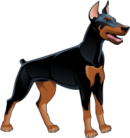 Dobermann dog PNG