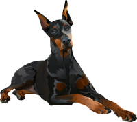 Dobermann dog PNG