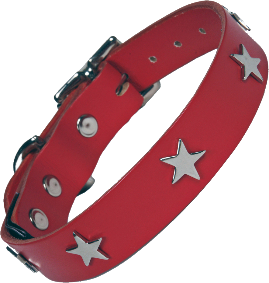 Collar de perro PNG