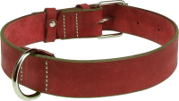 Dog collar PNG