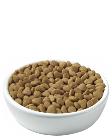 Dog food PNG