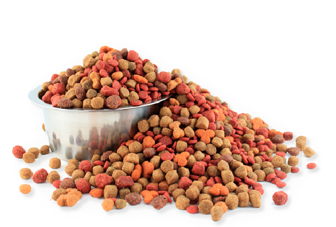 Dog food PNG