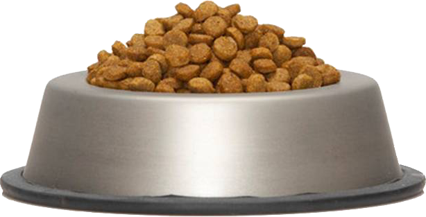 Dog Bowl Png