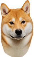 Doge PNG