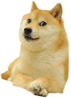 Doge PNG