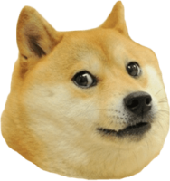 Doge PNG