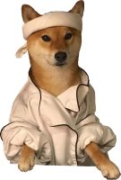 Doge PNG