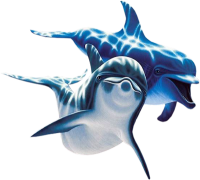 Дельфины PNG фото