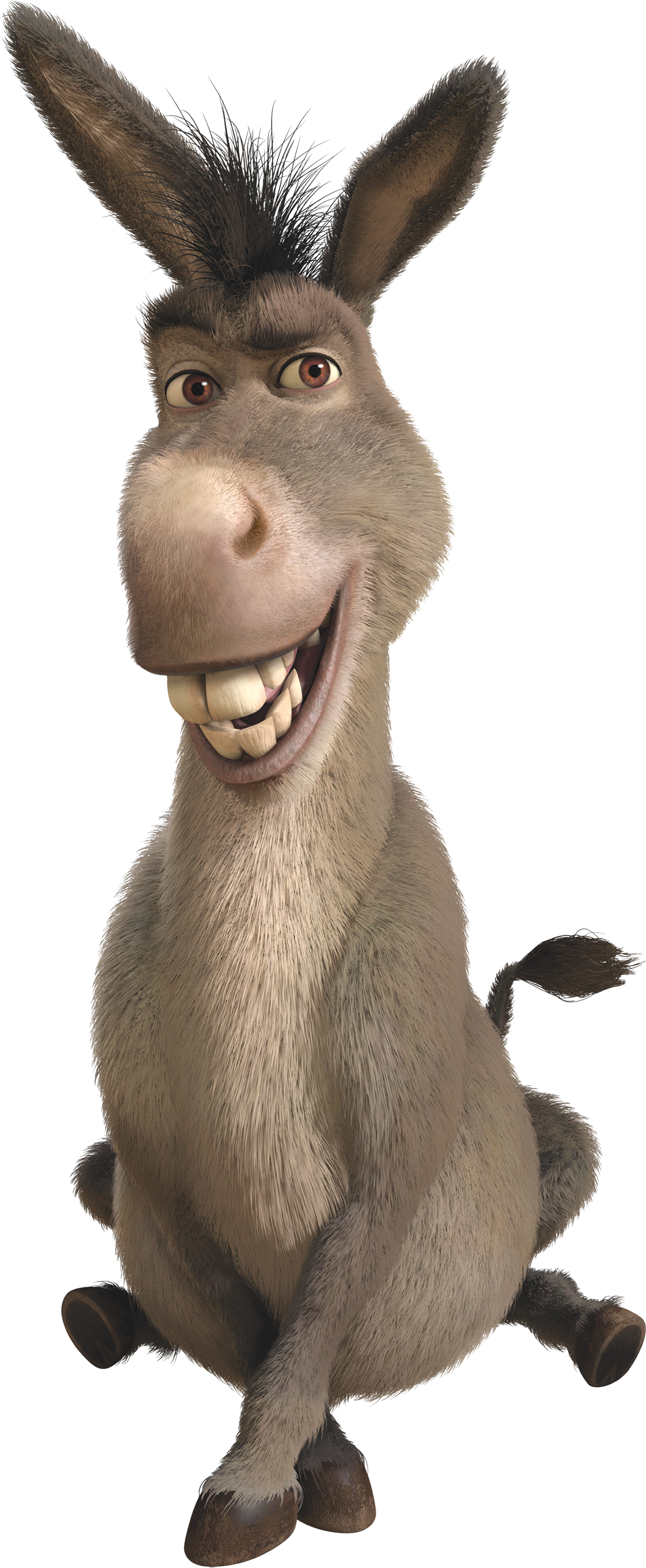 donkey-png