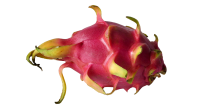 Dragon fruit PNG
