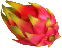 Dragon fruit PNG