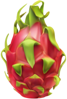 Dragon fruit PNG