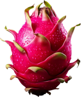 Dragon fruit PNG