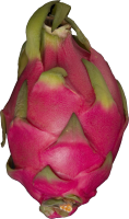Dragon fruit PNG