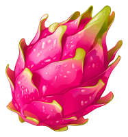 Dragon fruit PNG