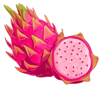 Dragon fruit PNG
