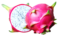 Dragon fruit PNG