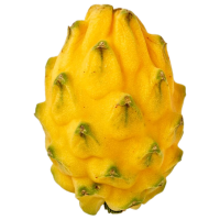 Dragon fruit PNG