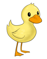 Duckling PNG