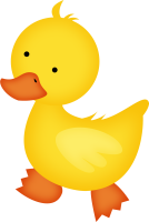 Duckling PNG