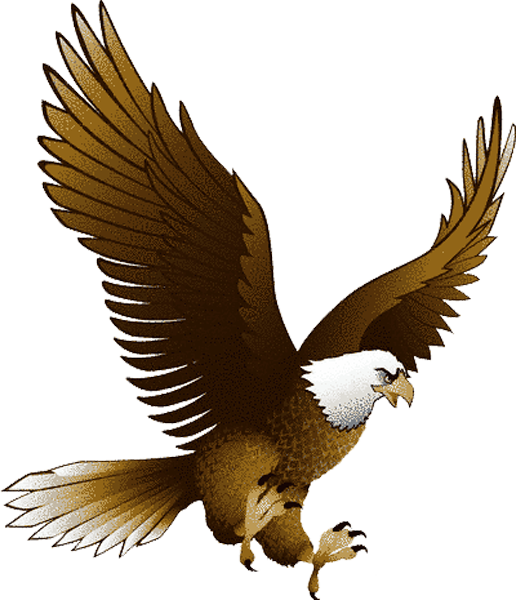 Eagle PNG image with transparency, free download