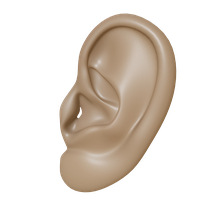 Ear PNG