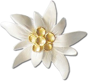 Edelweiss PNG images