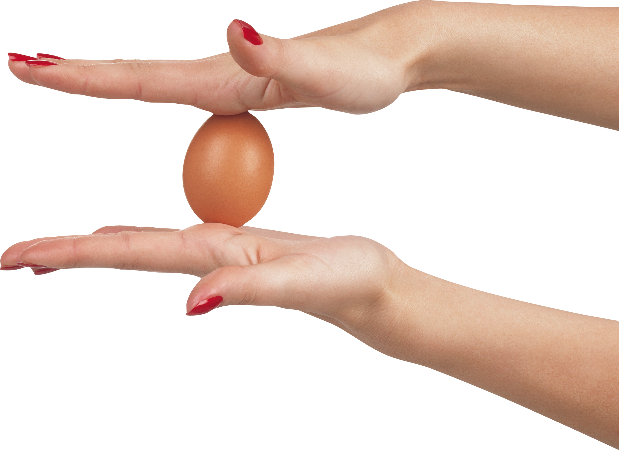 Egg in hands PNG image