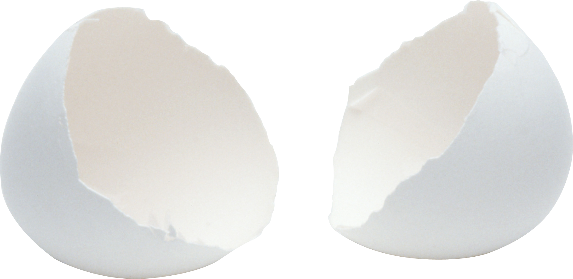 egg PNG transparent image download, size: 2800x1782px