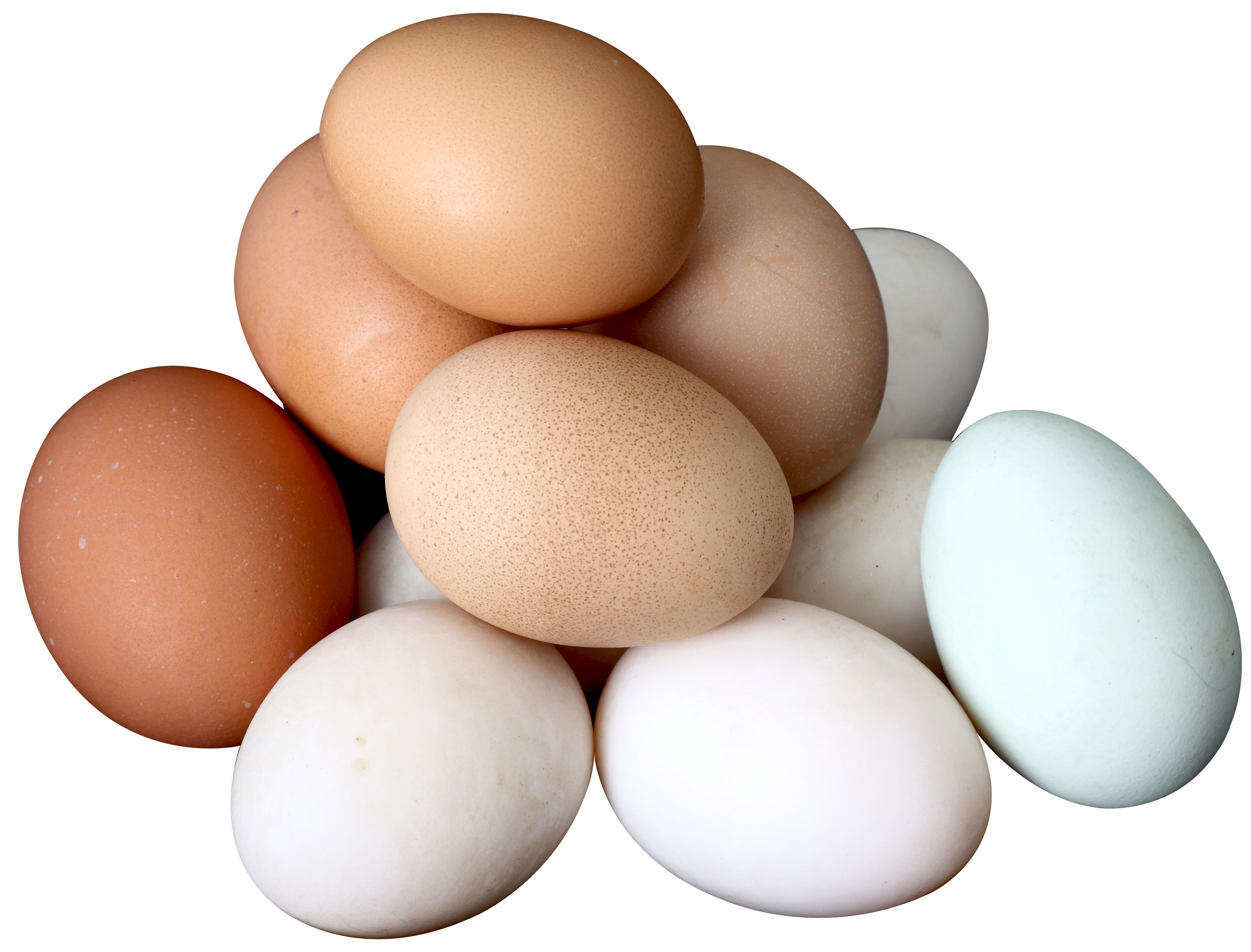 eggs PNG