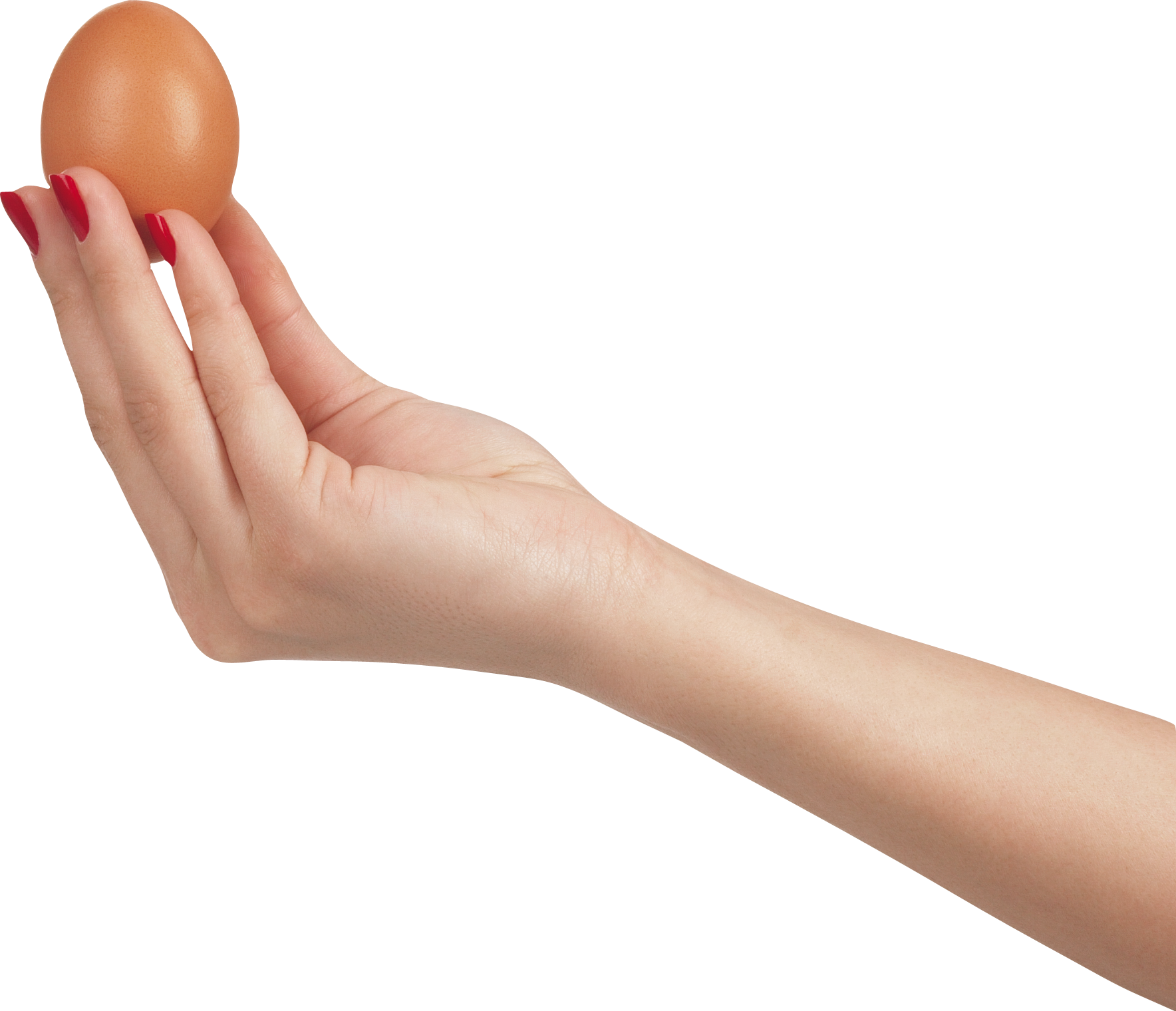 Egg in hand PNG image