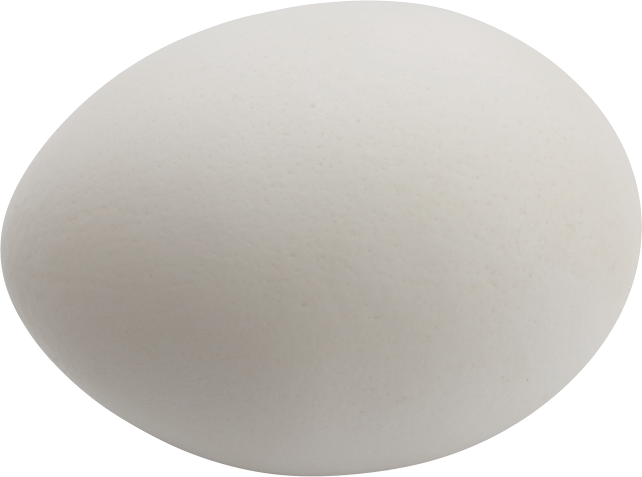 egg PNG transparent image download, size: 2800x1782px