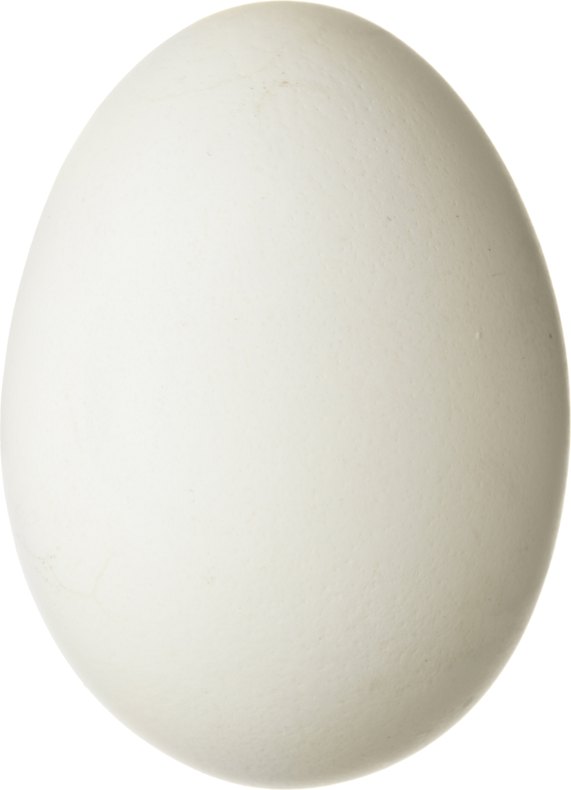 egg PNG transparent image download, size: 2800x1782px