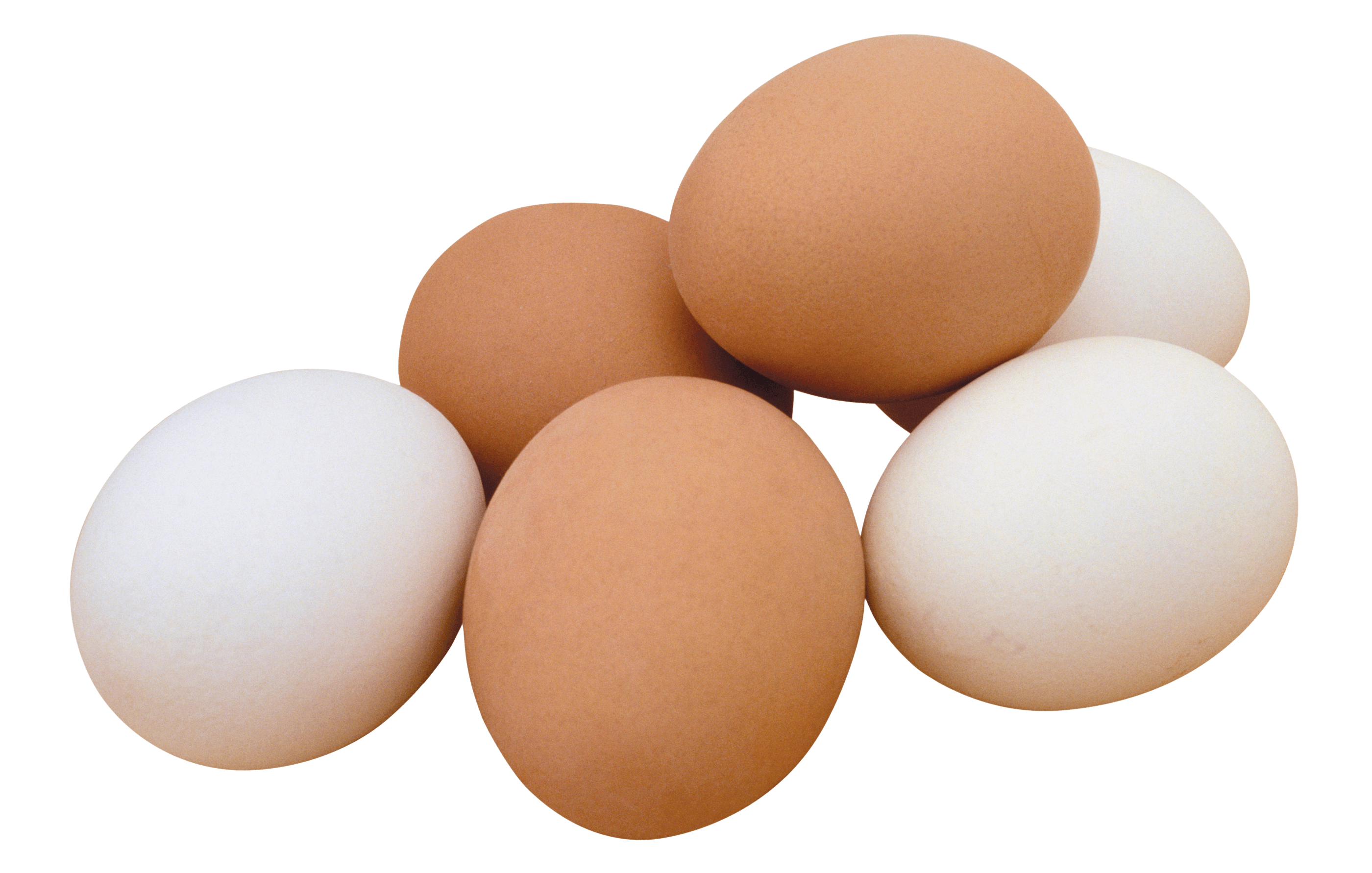 Eggs PNG transparent image download, size: 2019x1528px