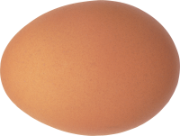 Egg PNG image